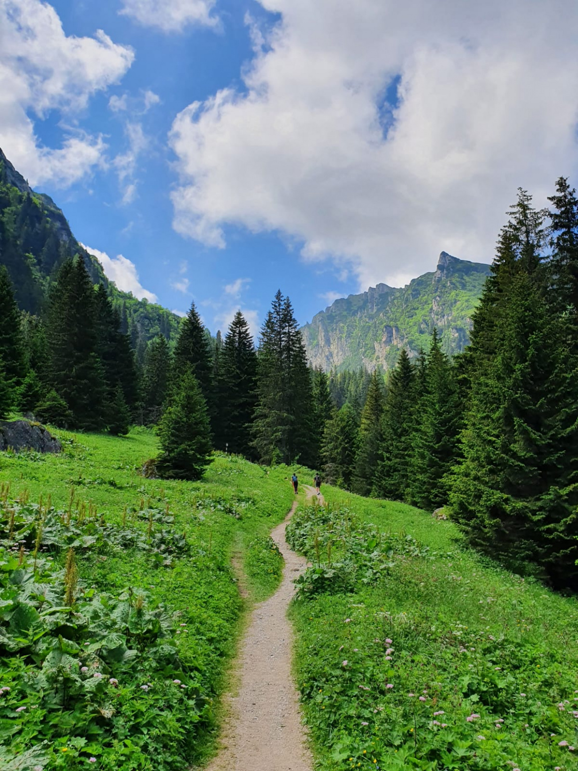 muntii bucegi