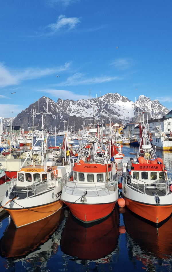 insulele lofoten