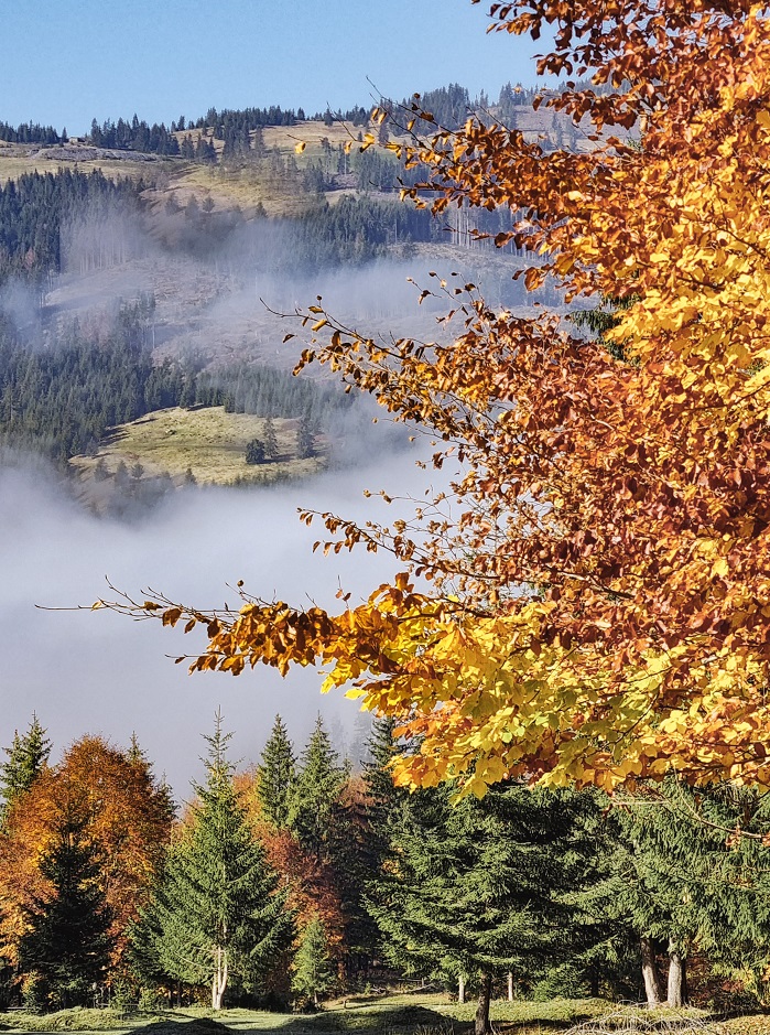 traseu piatra singuratica si varul hasmasul mare